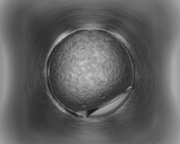 X0000086220990200704121854