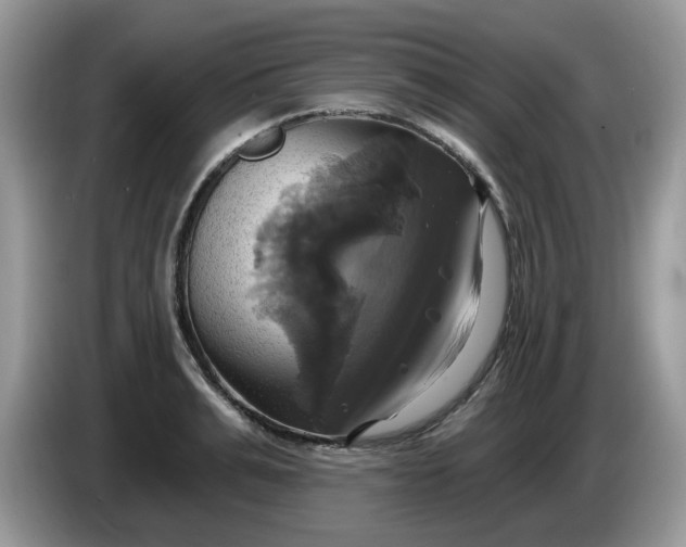 X0000086220991200704121854