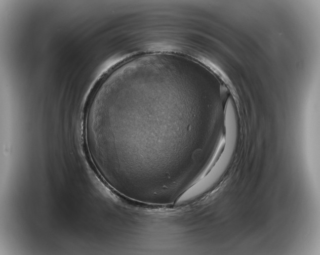 X0000086220992200704121854