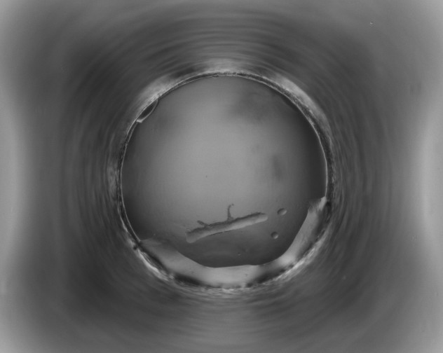 X0000086220993200704121854