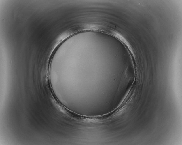 X0000086220994200704121854