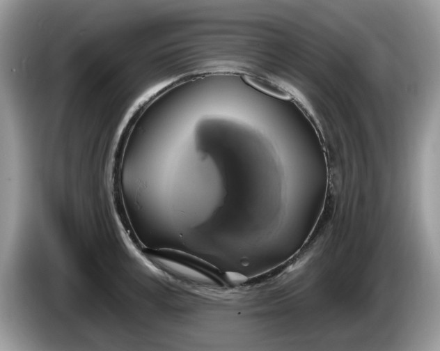 X0000086220995200704121854