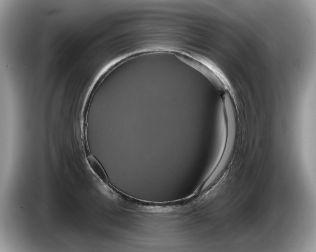 X0000086220996200704121854