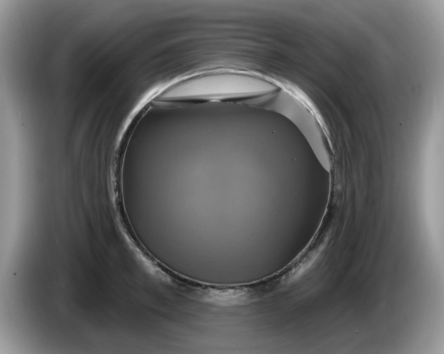 X0000086220997200704121854