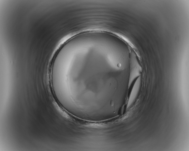 X0000086220998200704121854