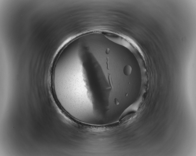 X0000086220999200704121854