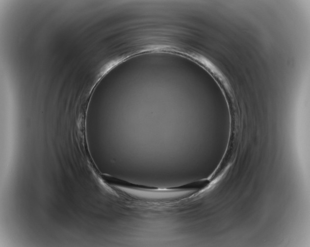 X0000086221001200704121854