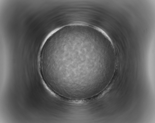 X0000086221003200704121854