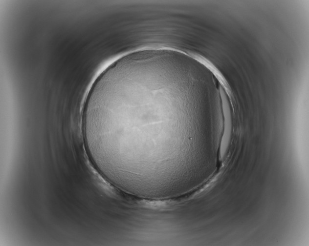 X0000086221004200704121854