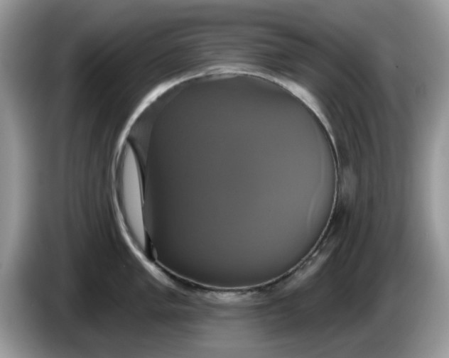 X0000086221005200704121854