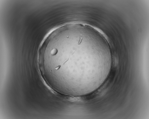 X0000086221006200704121853