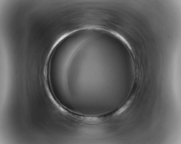 X0000086221007200704121853