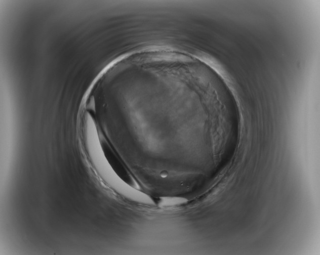 X0000086221008200704121853