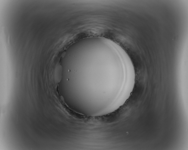 X0000086221009200704121853