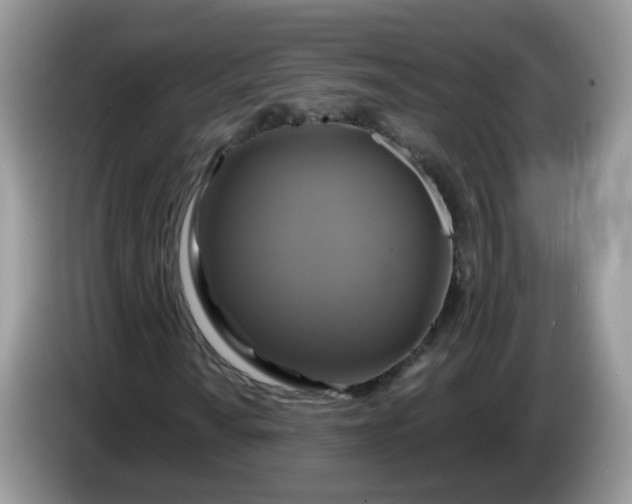 X0000086221010200704121853