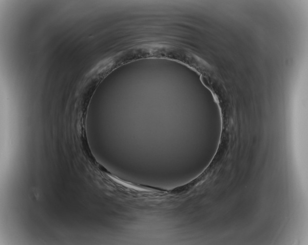 X0000086221014200704121853