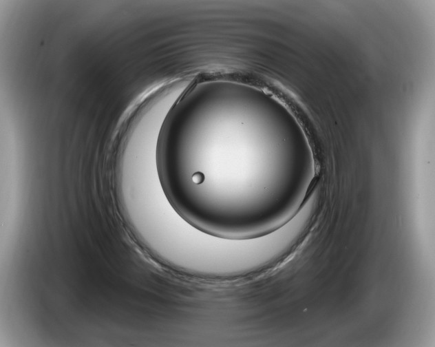 X0000086221018200704121853