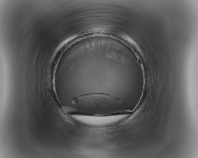 X0000086221019200704121853