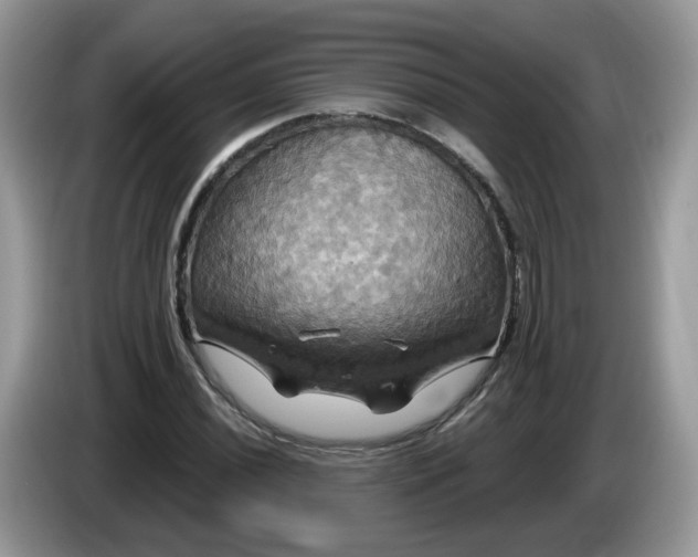 X0000086221020200704121853