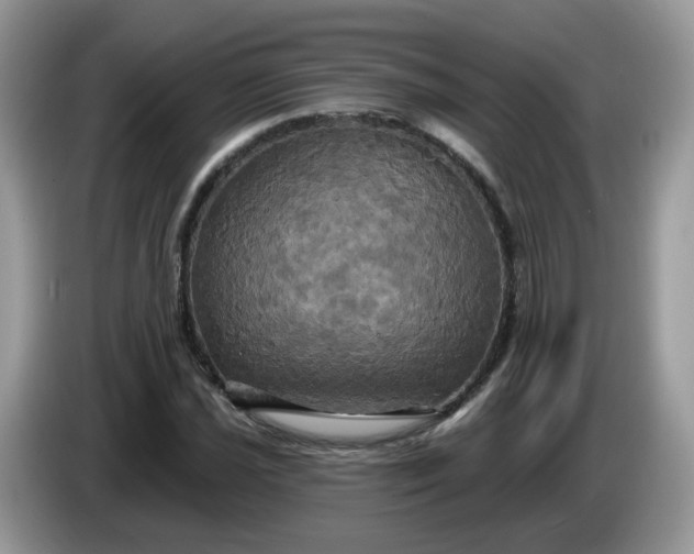 X0000086221021200704121853