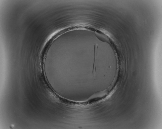 X0000086221022200704121853