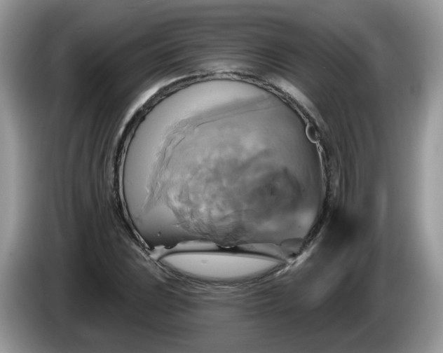 X0000086221023200704121853