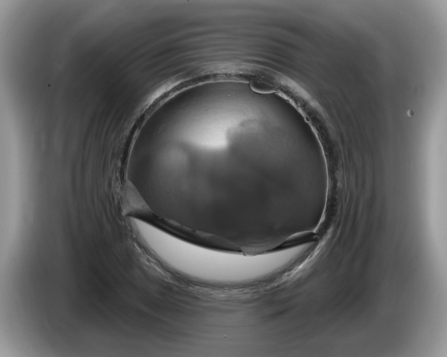 X0000086221025200704121853