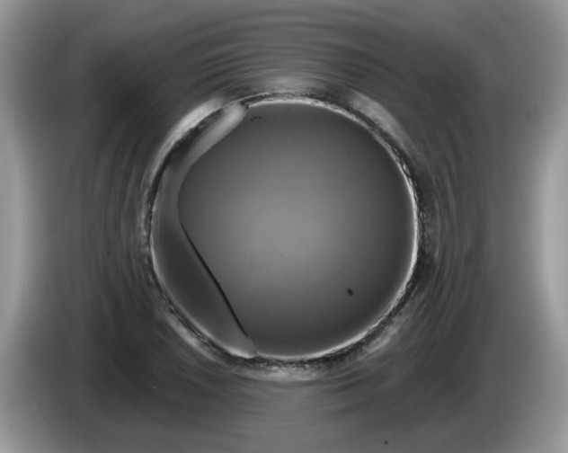 X0000086221026200704121853