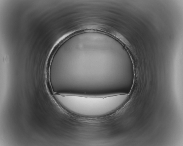 X0000086221028200704121853