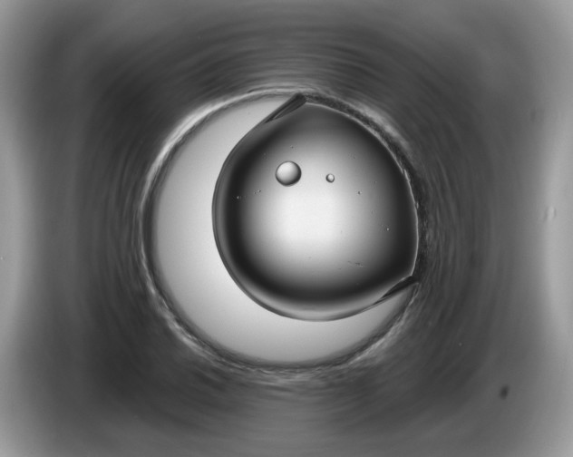 X0000086221030200704121853