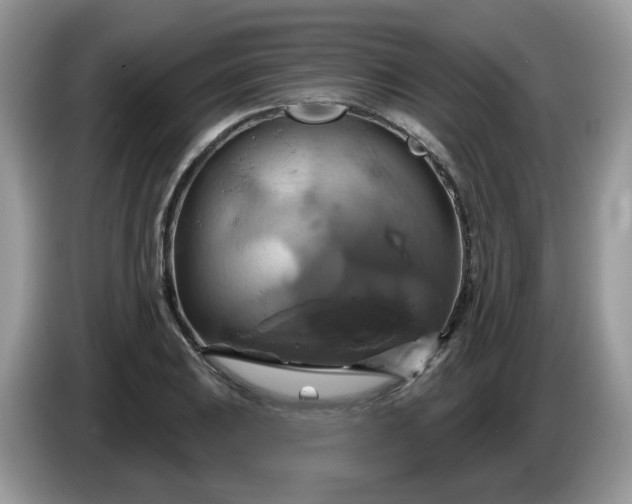 X0000086221031200704121853