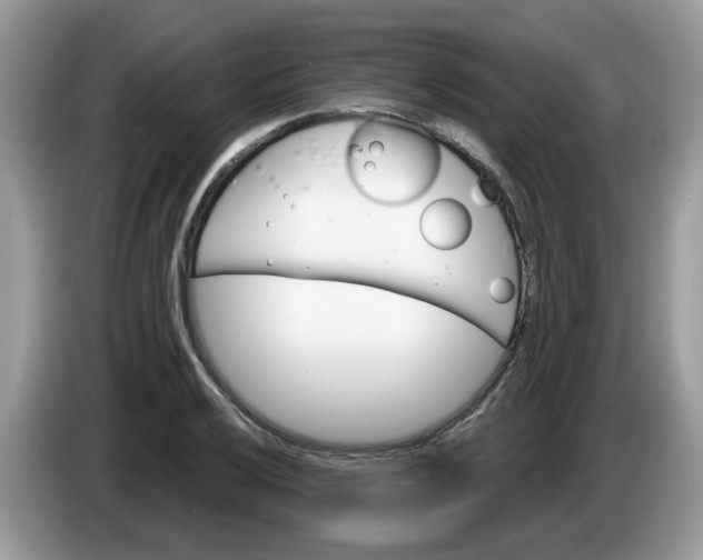 X0000086221032200704121853