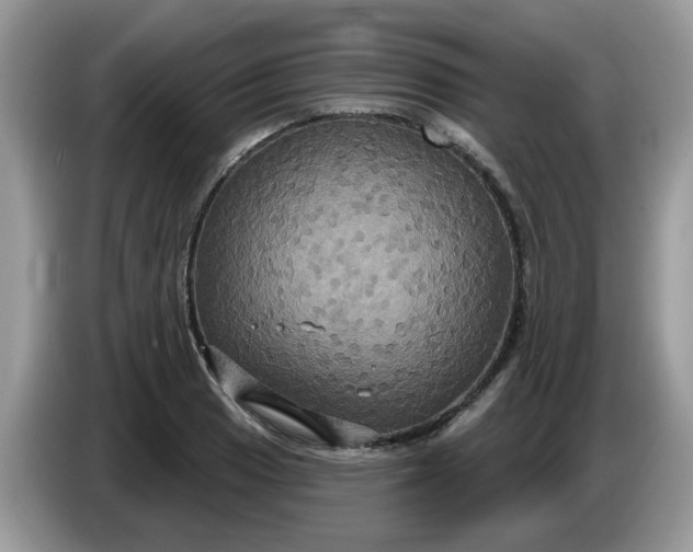 X0000086221033200704121853