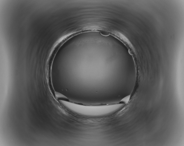 X0000086221035200704121853