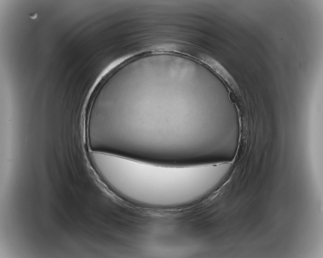 X0000086221036200704121853