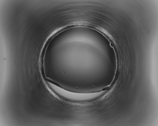 X0000086221037200704121853