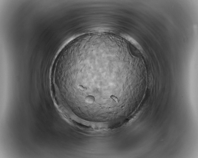 X0000086221039200704121853