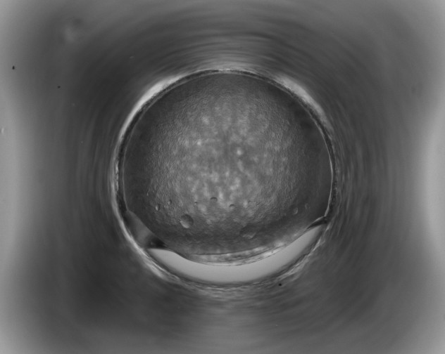 X0000086221040200704121853