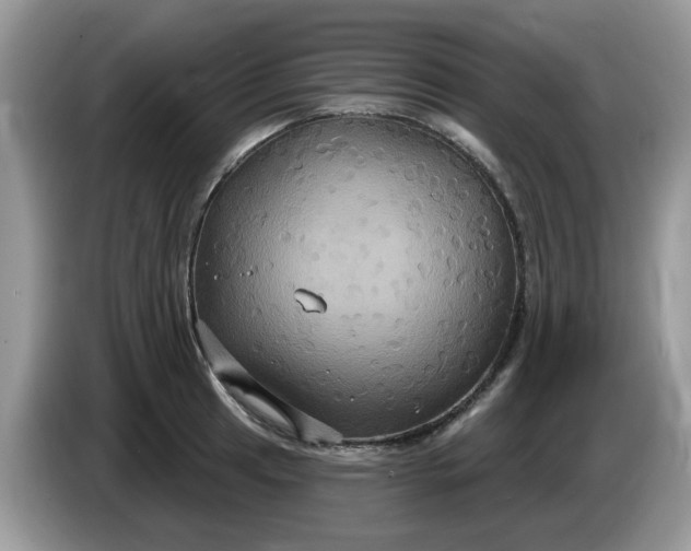 X0000086221041200704121853