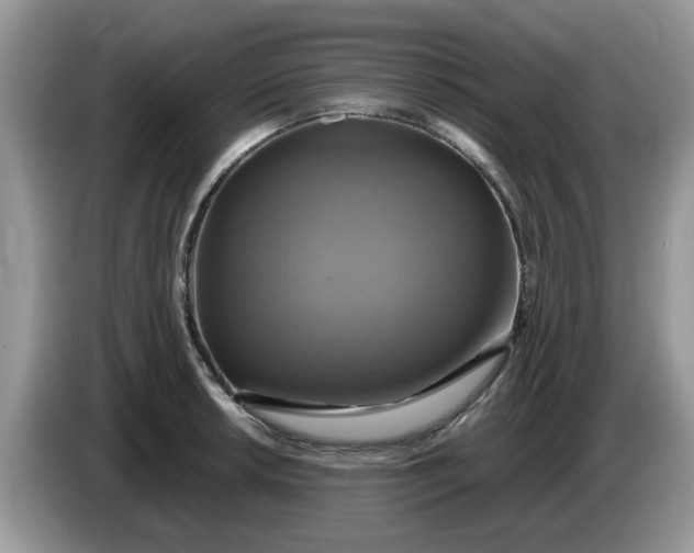 X0000086221042200704121853