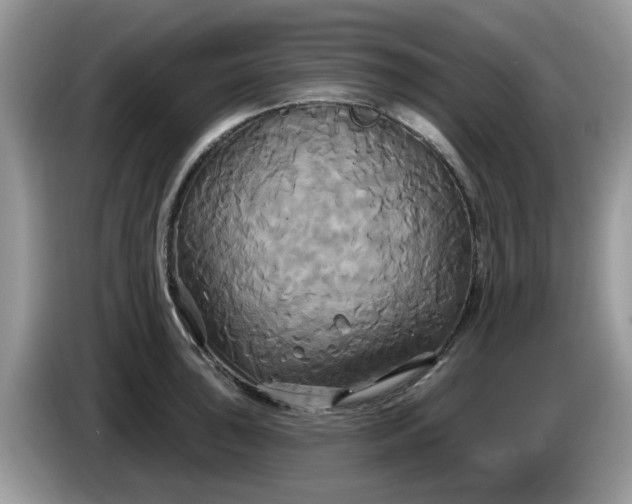 X0000086221043200704121853