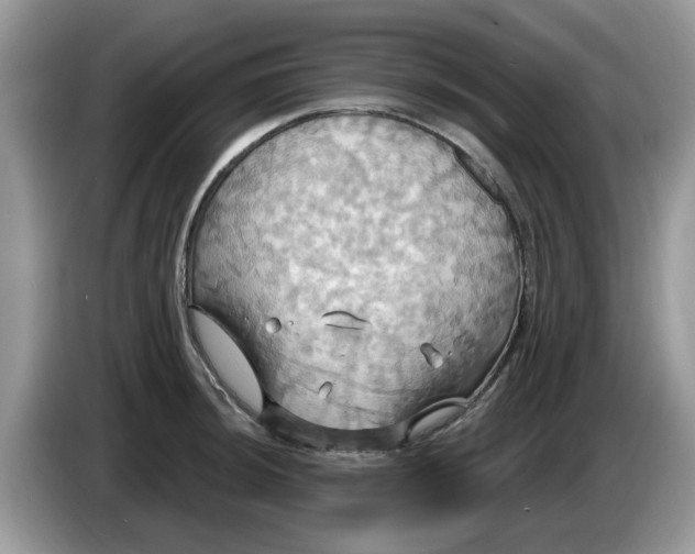 X0000086221044200704121853