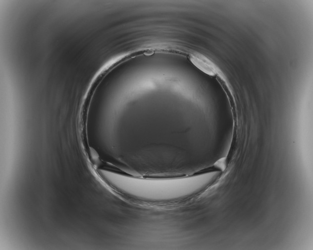 X0000086221045200704121853