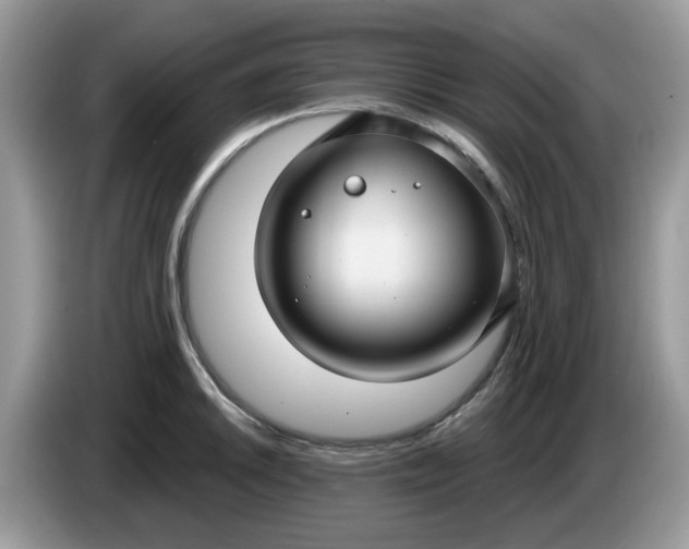 X0000086221046200704121853