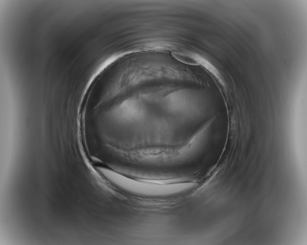 X0000086221047200704121853