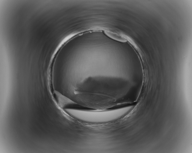 X0000086221048200704121853