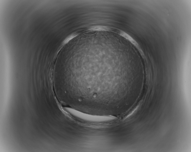 X0000086221049200704121853