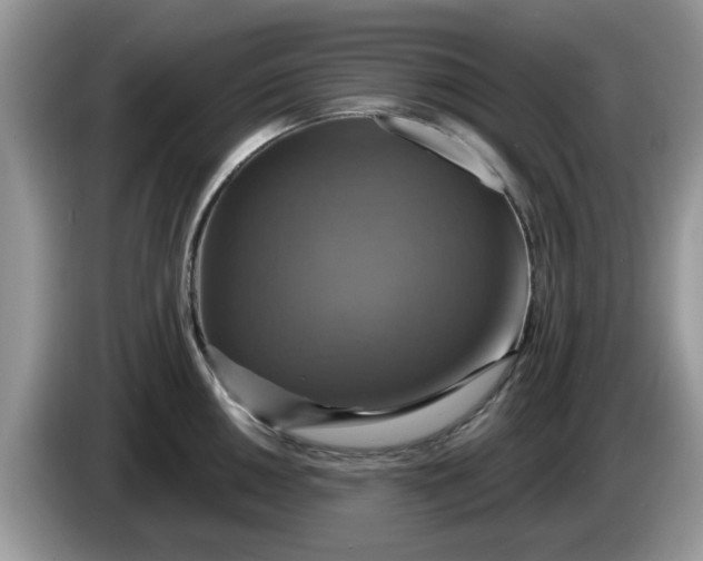 X0000086221050200704121853