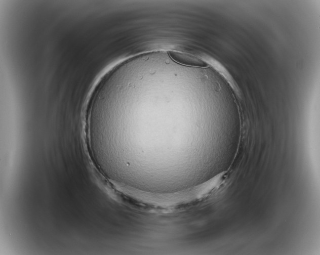 X0000086221051200704121853