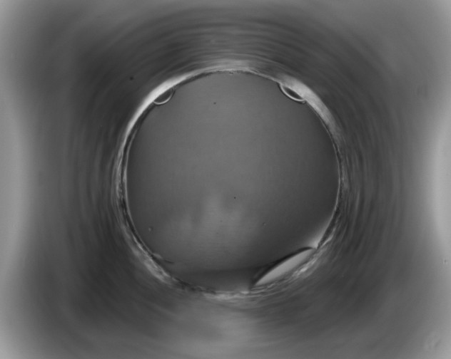 X0000086221052200704121853